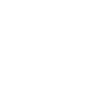 41602593_8928691